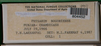 Image Associated With the Occurence